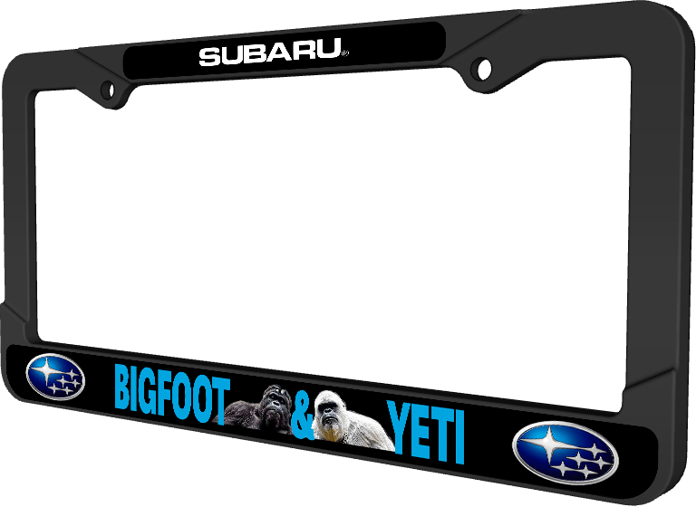 example plate frame 5